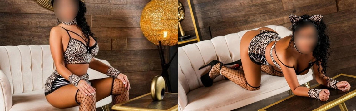 Immagine intestazione profilo