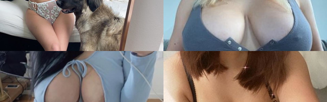 Profilio antraštės nuotrauka