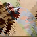 ภาพโปรไฟล์