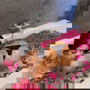 Εικόνα προφίλ