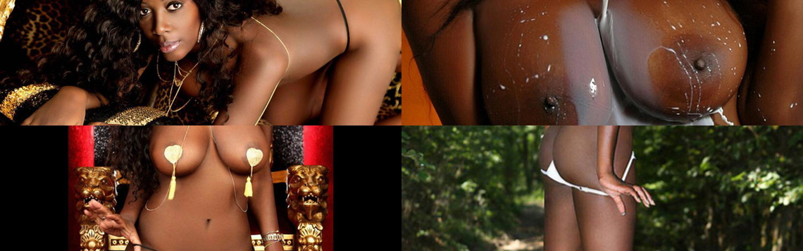 Ảnh tiêu đề hồ sơ