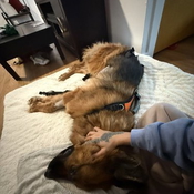 Katrine7 - +33780931182, +337-80 93 11 82, 07-80-93-11-82