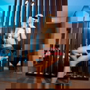 Immagine del profilo