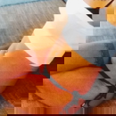 תמונת הפרופיל