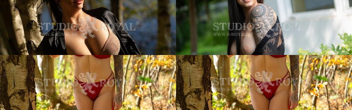 Imagine antet profil