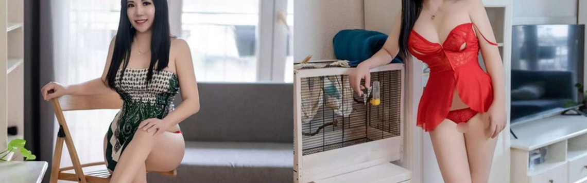 Imagen de encabezado del perfil