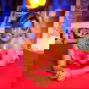 Изображение на профил