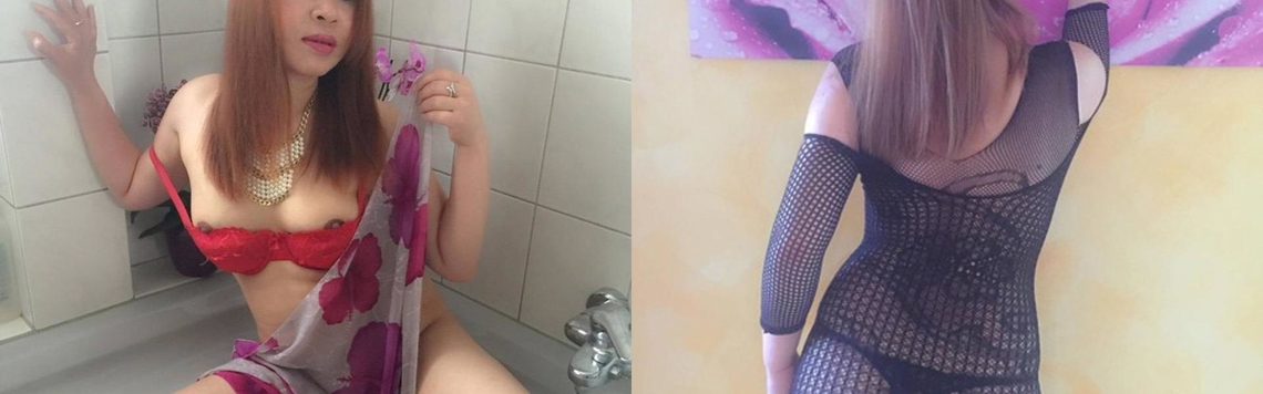 תמונת כותרת הפרופיל