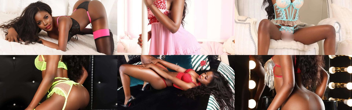 Ảnh tiêu đề hồ sơ