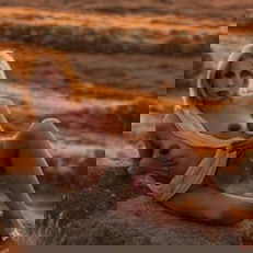 Nana1152183 - +4915218362092, +491521-8362092, 01521-8362092