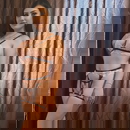 Immagine del profilo