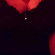 drstellaedenneu - +4917686700761, +49176-86700761, 0176-86700761