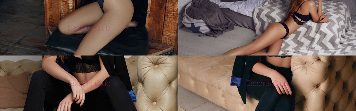 프로필 헤더 이미지