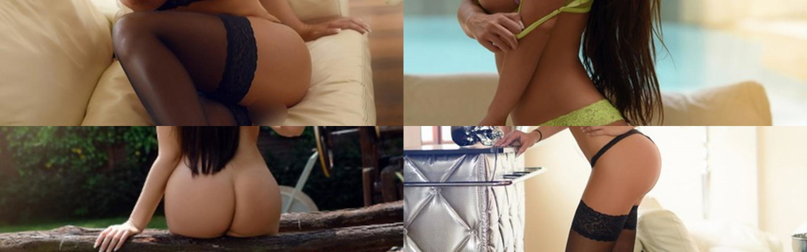 Zaglavna slika profila