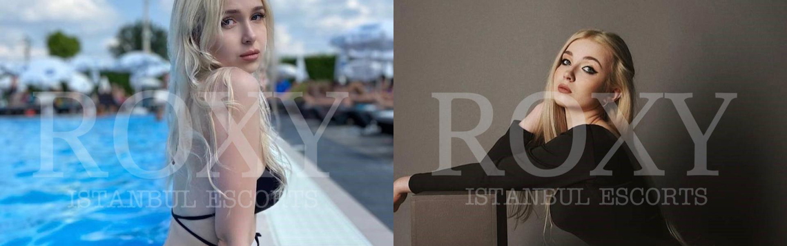 프로필 헤더 이미지