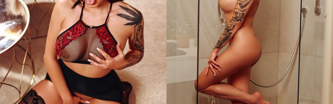 Imagen de encabezado del perfil