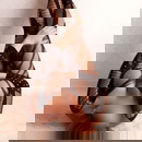 प्रोफ़ाइल छवि