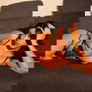 Immagine del profilo