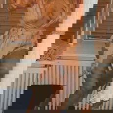 lana1 - +491703531953, +49170-3531953, 0170-3531953