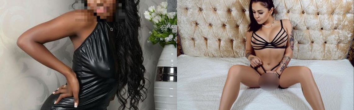 Profilio antraštės nuotrauka