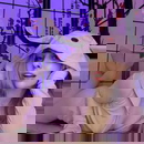 Immagine del profilo