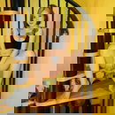 Immagine del profilo