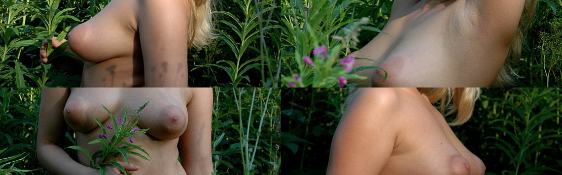 Profil-headerbillede