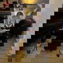 תמונת הפרופיל