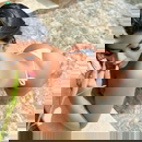 תמונת הפרופיל