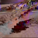 תמונת הפרופיל