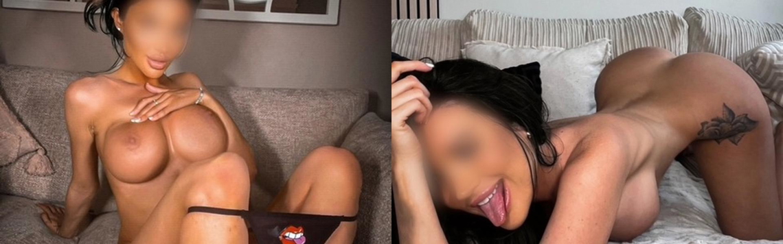 프로필 헤더 이미지