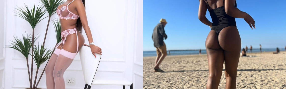 프로필 헤더 이미지