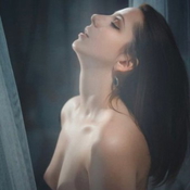 Lulu8 - +48818847454, +4881-884 74 54, 81-884-74-54