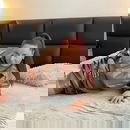 Зображення профілю