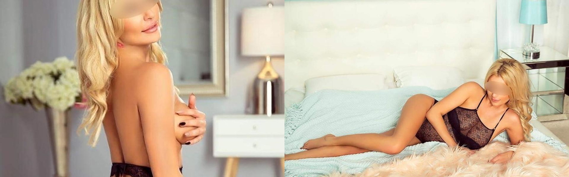 프로필 헤더 이미지