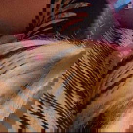 neualexandrakhlenfdtextratief - +4917642407825, +49176-42407825, 0176-42407825