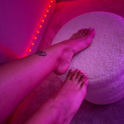 joleenneuenummer163 - +491636750319, +49163-6750319, 0163-6750319